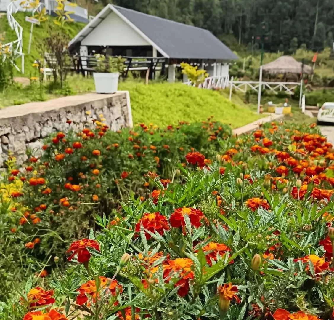 Happy Holidays Kanthalloor Hotel Resort